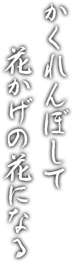 かくれんぼして花かげの花になる